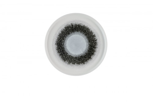 Assiette à bord droit rond Quartz Black porcelaine vitrifiée Ø 26 cm Fusion Churchill