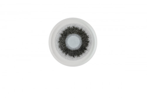 Assiette à bord droit rond Quartz Black porcelaine vitrifiée Ø 21 cm Fusion Churchill